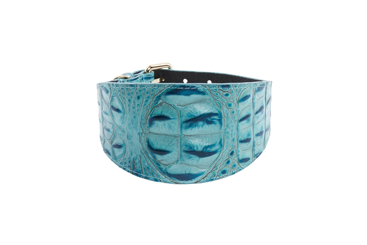 Turquoise 3-inch wide dog collar with embossed croc leather texture and silver buckle hardware, shown front-facing on a white background.