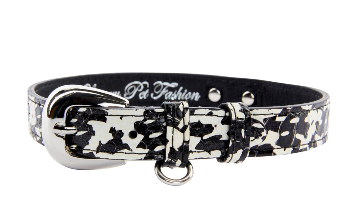 Black and white snake-patterned dog collar with a silver oval buckle and a small D-ring for attaching tags or leash.