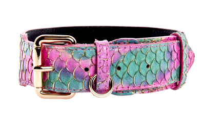 Luxury pet collar made from custom colored Tilapia with gold hardware on a neutral backdrop