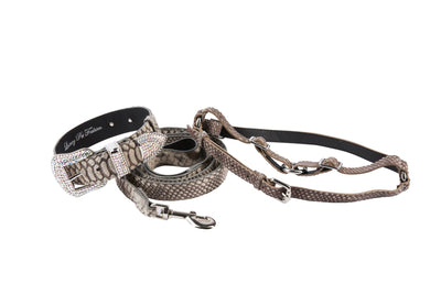 Grey Snake Print Hair On Hide Italian Leather Collar & Leash Set With by Allysa Payne Beverly Hills - main product image for Resin Society