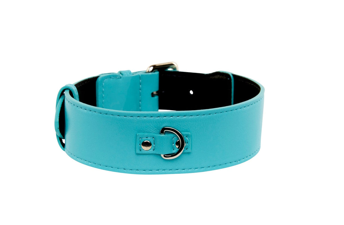 Turquoise blue leather dog collar with silver buckle and D-ring hardware, showing clean stitching and smooth finish on a plain white background.