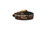 Tiger print hair-on-hide collar with dark brown and black stripes, featuring gold-toned buckle and hardware, shown coiled on a white background.