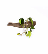 Single piece of natural driftwood mounted horizontally with a clear glass tube holder containing a trailing green plant with heart-shaped leaves, against a white background.
