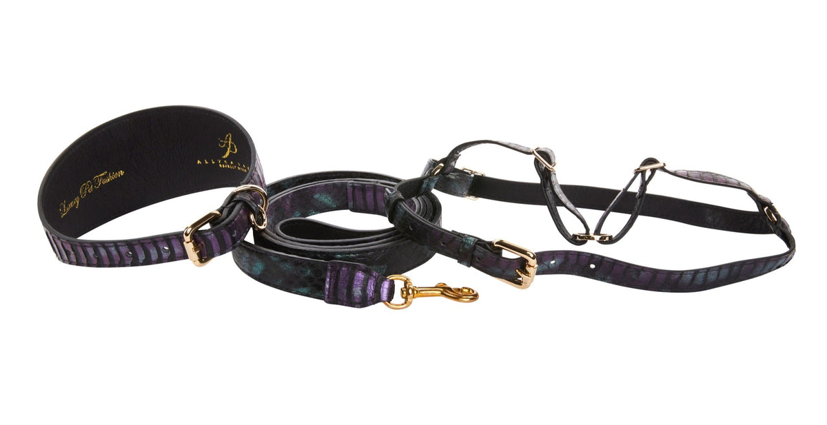 Black, green, and purple snake-patterned wide collar, matching leash, and adjustable harness laid out on white background with gold-tone hardware accents.