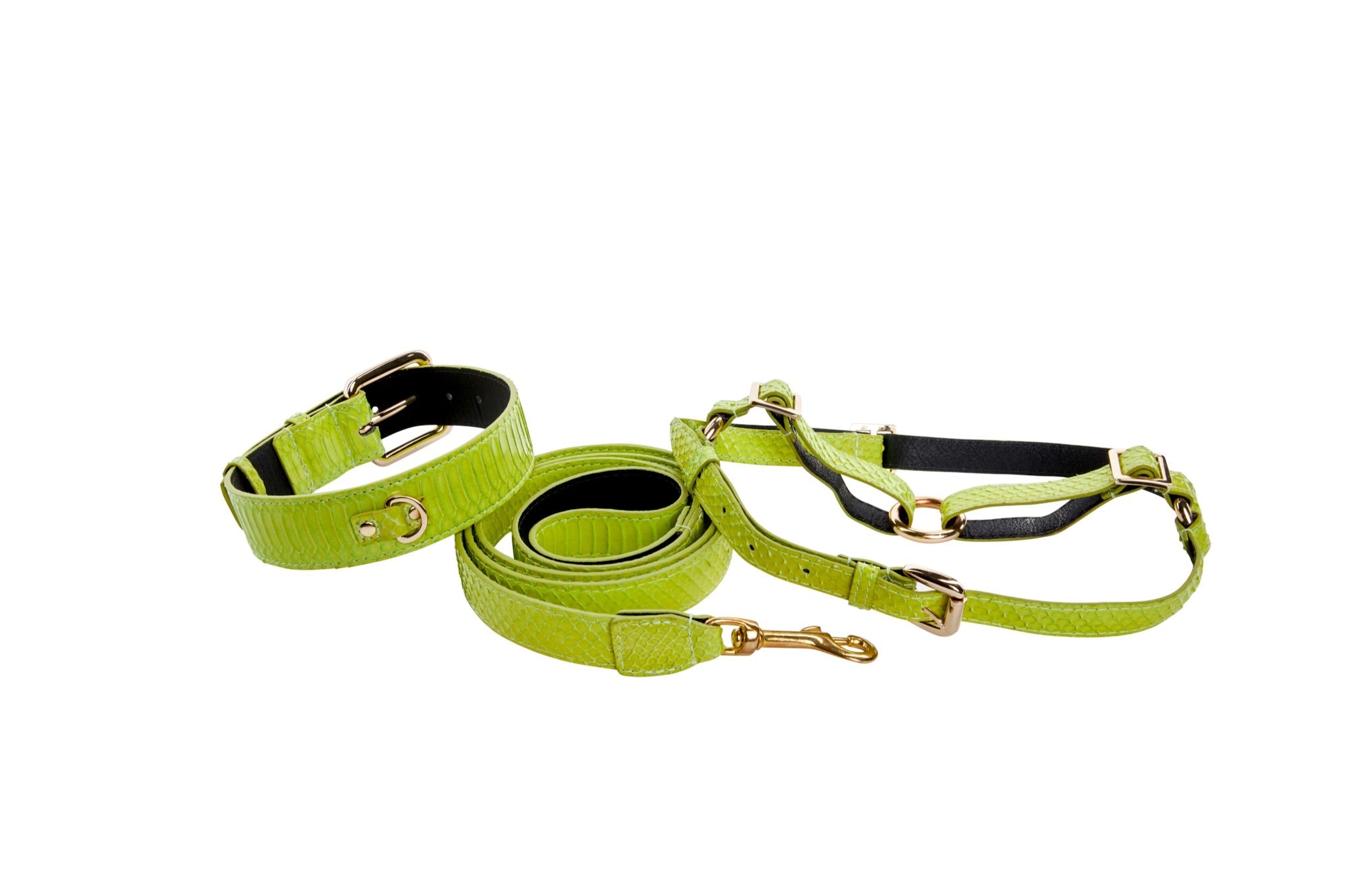 Neon Green Snake Collar, Leash & Harness Set by Allysa Payne Beverly Hills - product image 2 for Resin Society