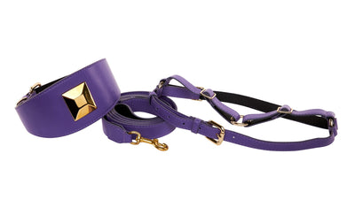 Purple Italian leather wide collar with large gold rivet beside matching leash and harness