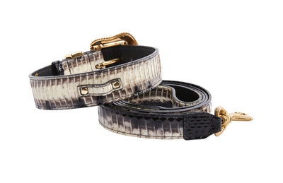 Off White/Black Snake With Gold Swarovski Crystal Hardware Collar &