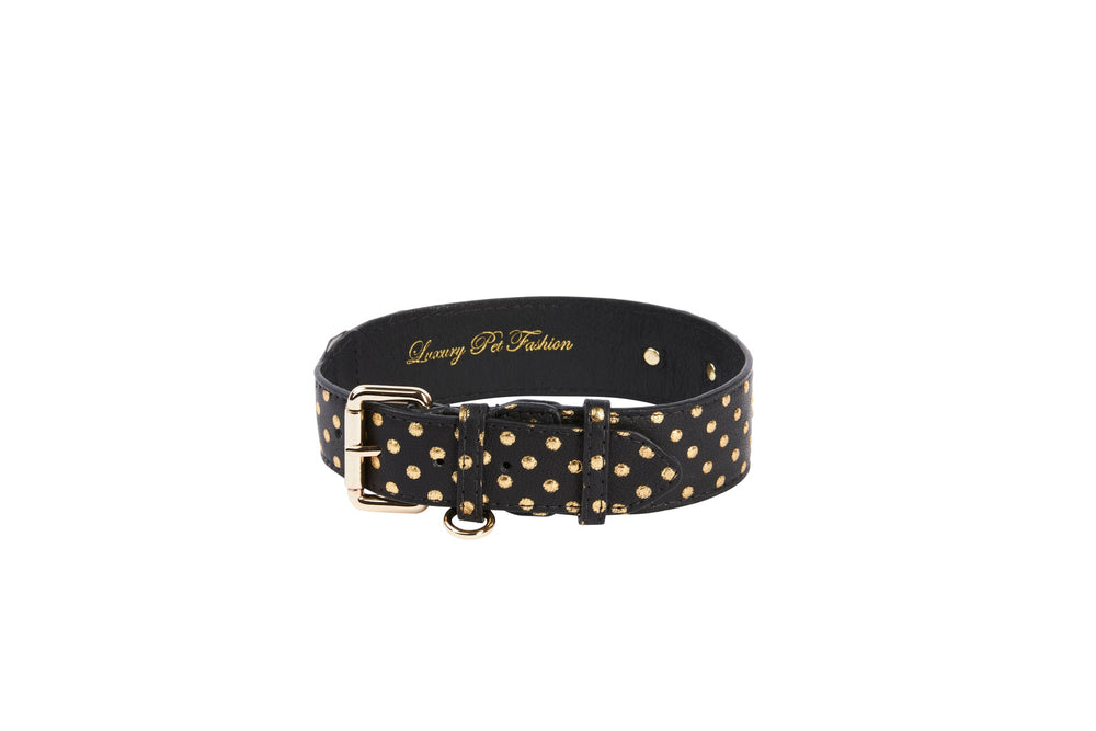Black Italian leather pet collar with a classic buckle and gold polka dots, featuring gold hardware and the phrase Luxury Pet Fashion inside.