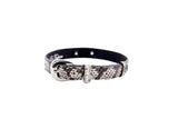 Black and white viper snake pattern collar with silver oval buckle and loop hardware, shown flat on a white background.