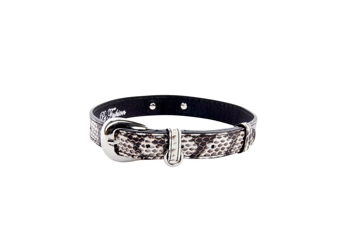Black and white viper snake pattern collar with silver oval buckle and loop hardware, shown flat on a white background.