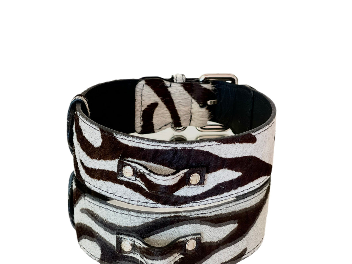 Collar with zebra print hair-on-hide leather featuring alternating black and white stripes and silver classic hardware on a black leather base.