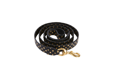Black & Gold Polka Dot Leash by Allysa Payne Beverly Hills - main product image for Resin Society