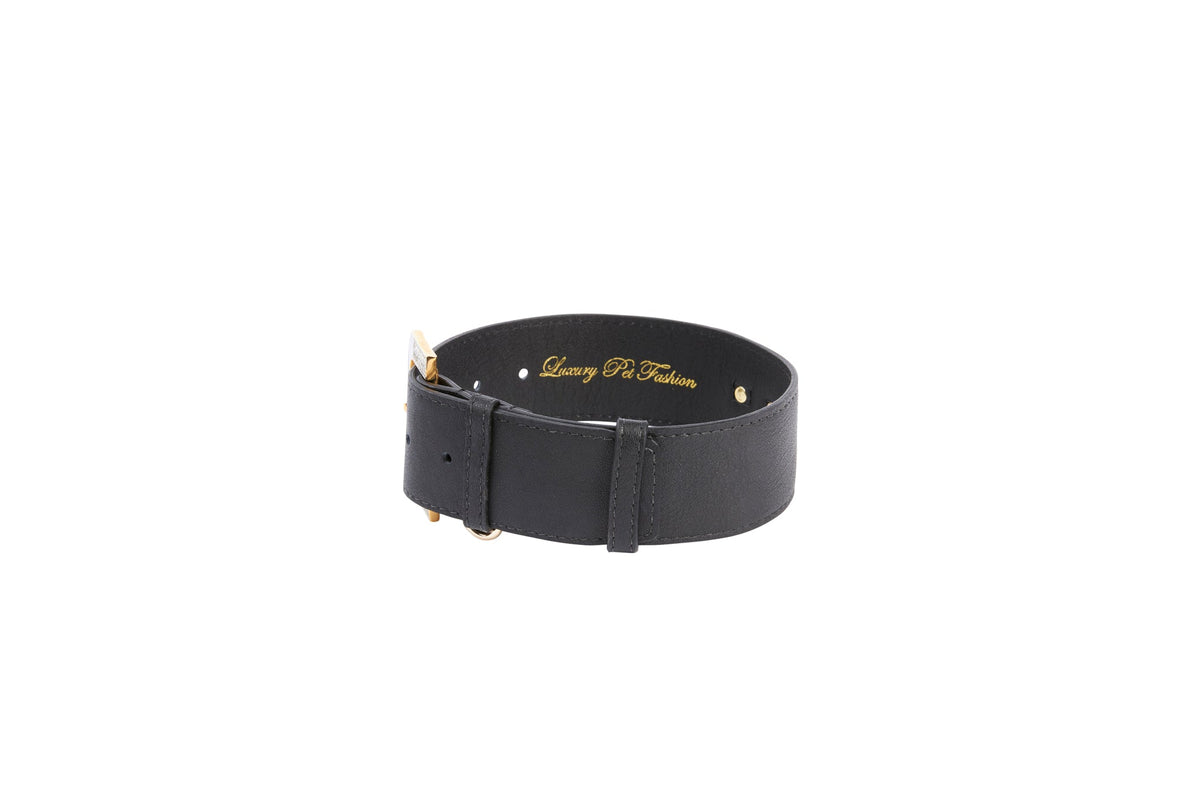 Black wide leather collar with gold-tone buckle and two gold rivets, featuring subtle gold script inside the band, shown on a white background.