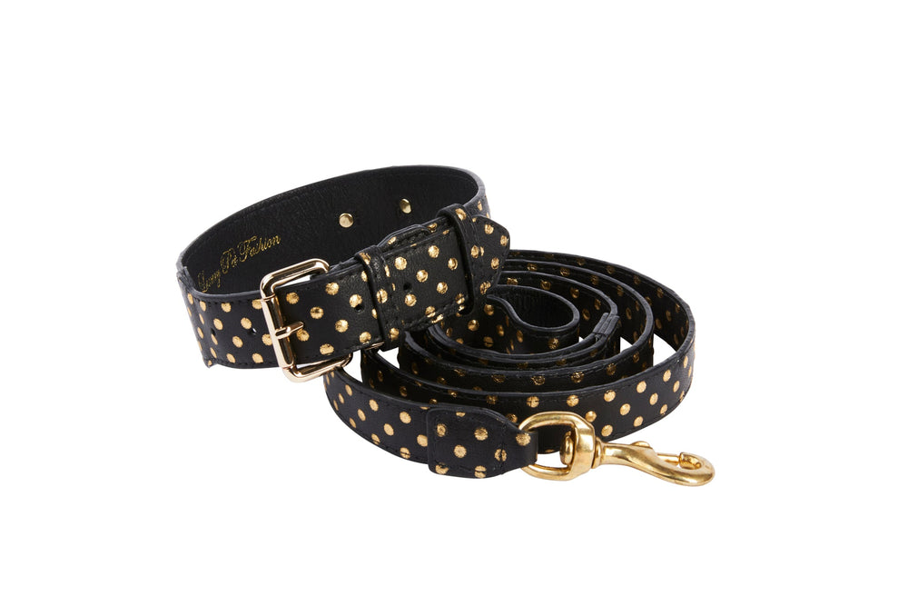 Black Italian leather dog collar and leash set with evenly spaced small gold polka dots, featuring a gold buckle on the collar and a gold clasp on the leash.