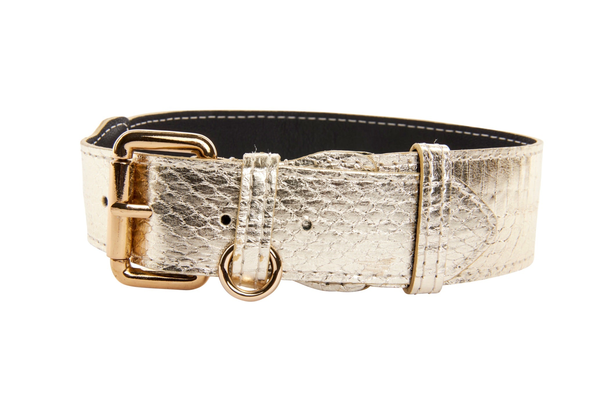 Gold Snake Collar & Leash Set With Classic Hardware by Allysa Payne Beverly Hills - product image 3 for Resin Society