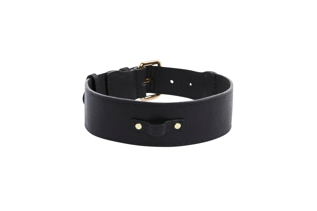 Black Italian leather dog collar with a gold-tone buckle and rivet details, displayed on a white background.