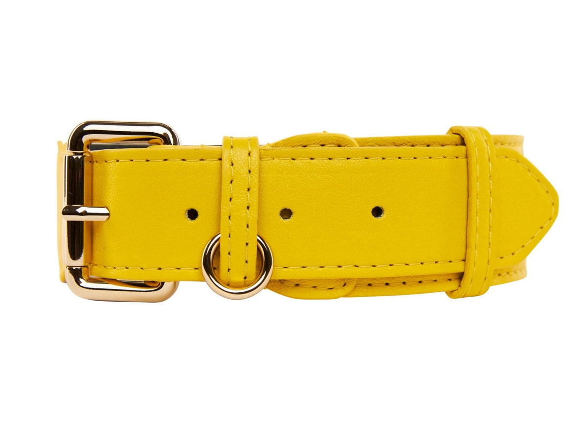 Bright yellow leather dog collar with gold metal buckle and D-ring, featuring stitched edges and multiple adjustment holes, shown flat against a white background.