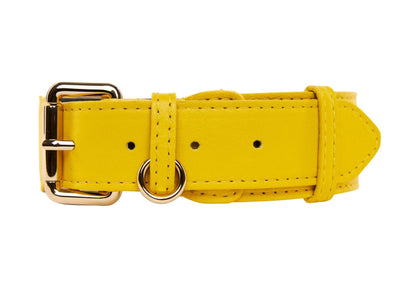 Yellow Italian Leather Classic Collar/Gold Classic Hardware by Allysa Payne Beverly Hills - main product image for Resin Society