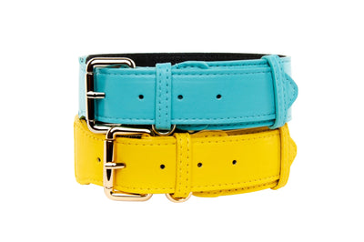 Two luxury pet collars: turquoise Italian leather with silver hardware and yellow Italian leather with gold hardware laid out side by side