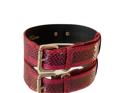 Luxury Pet Fashion Red & Black Viper Snake Collar with Gold Classic Hardware displayed on dark base