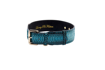 Turquoise, Black Snake Classic Collar With Gold Classic Hardware by Allysa Payne Beverly Hills - product image 2 for Resin Society