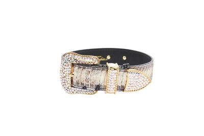 Off White/Black Snake With Gold Swarovski Crystal Hardware Collar &