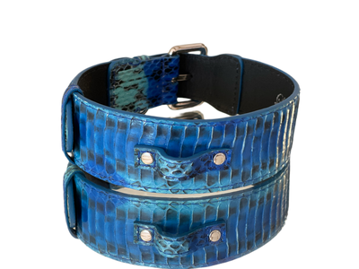 Luxury Pet Fashion Blue/Turquoise Snakeskin Collar with Classic Silver Hardware