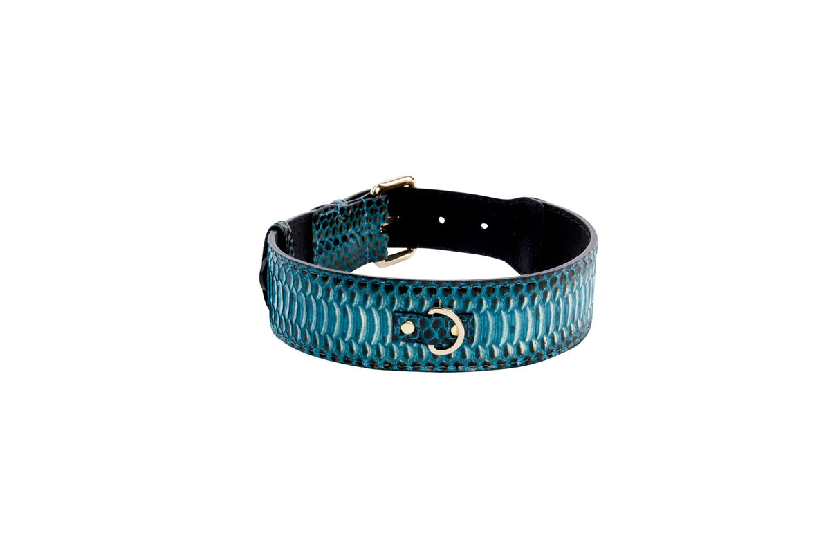 Turquoise and black snake-print collar with gold D-ring and buckle hardware, shown on a white background.