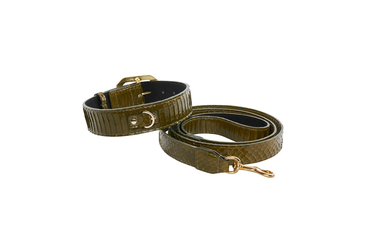 Olive green snake-patterned collar and matching leash with gold-tone buckle and clasp, displayed coiled on a white background.