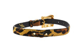 Leather collar with leopard print hair-on-hide pattern and ornate gold-toned buckle, shown against a white background.
