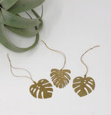 Three brass monstera leaf ornaments with string hangers arranged on a white surface near a green succulent plant.