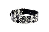 Black and white snake-patterned dog collar with silver metal buckle and hardware, shown flat against a white background.