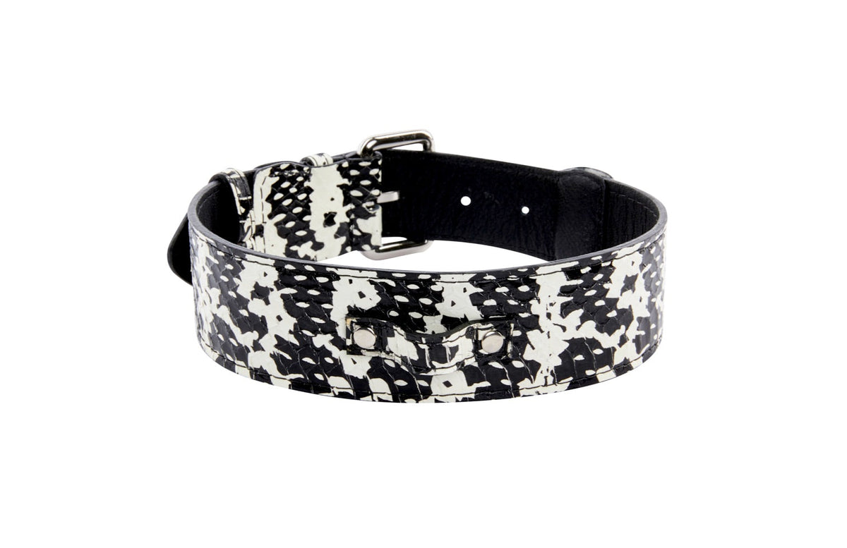 Black and white snake-patterned dog collar with silver metal buckle and hardware, shown flat against a white background.