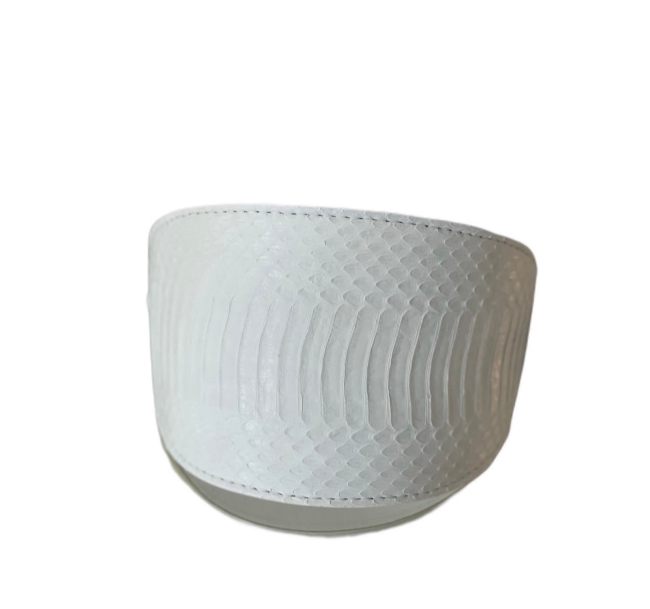 Matte white snake patterned oval dog collar with silver hardware on white background