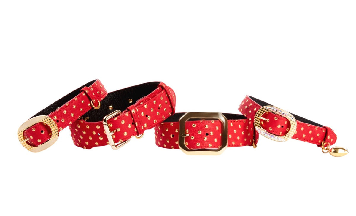 Set of four red leather belts with gold polka dots and various gold buckles, arranged in a slightly curved line on a white background.