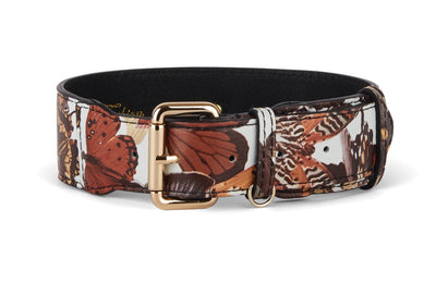 Butterfly Print Italian Leather Classic Collar with gold hardware
