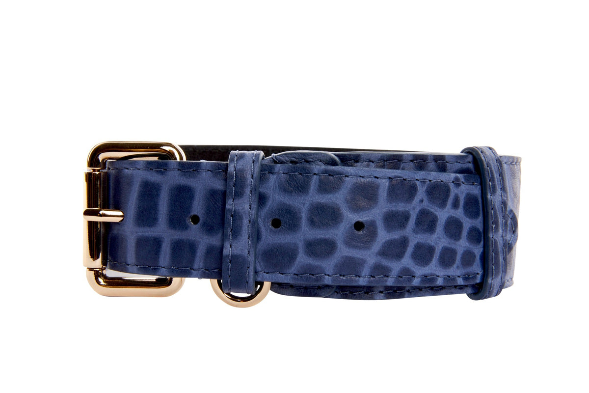 Blue Italian leather dog collar embossed with a crocodile pattern and accented with gold-tone classic buckle and hardware, displayed flat on white background.