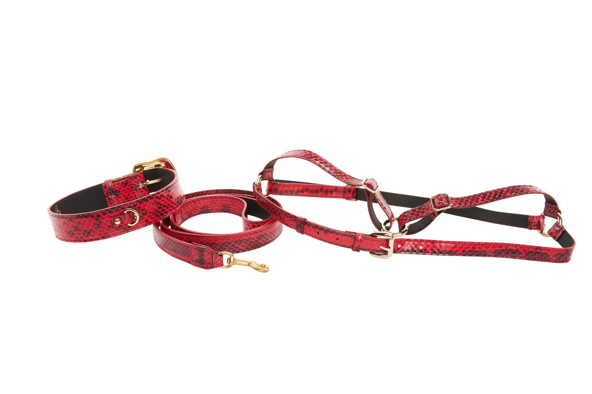 XL Red & Black Snake, Swarovski Crystal Collar Leash Harness Set by Allysa Payne Beverly Hills - product image 2 for Resin Society