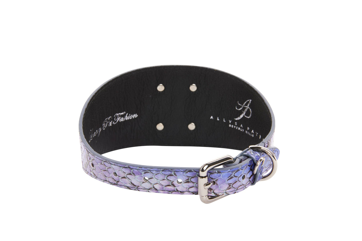 Close-up of a purple and silver iridescent snake-print collar with a metallic buckle and D-ring, featuring a smooth black inner lining with logos.