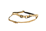 Gold studded leather harness with black adjustable straps and metal buckles and rings, shown on a white background.