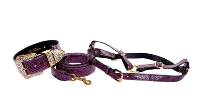 Luxury Pet Fashion Purple & Black Viper Snake Collar With Swarovski by Allysa Payne Beverly Hills - main product image for Resin Society