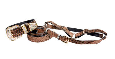 Brown/Black Embossed Snake Italian Leather Collar With Swarovski by Allysa Payne Beverly Hills - main product image for Resin Society