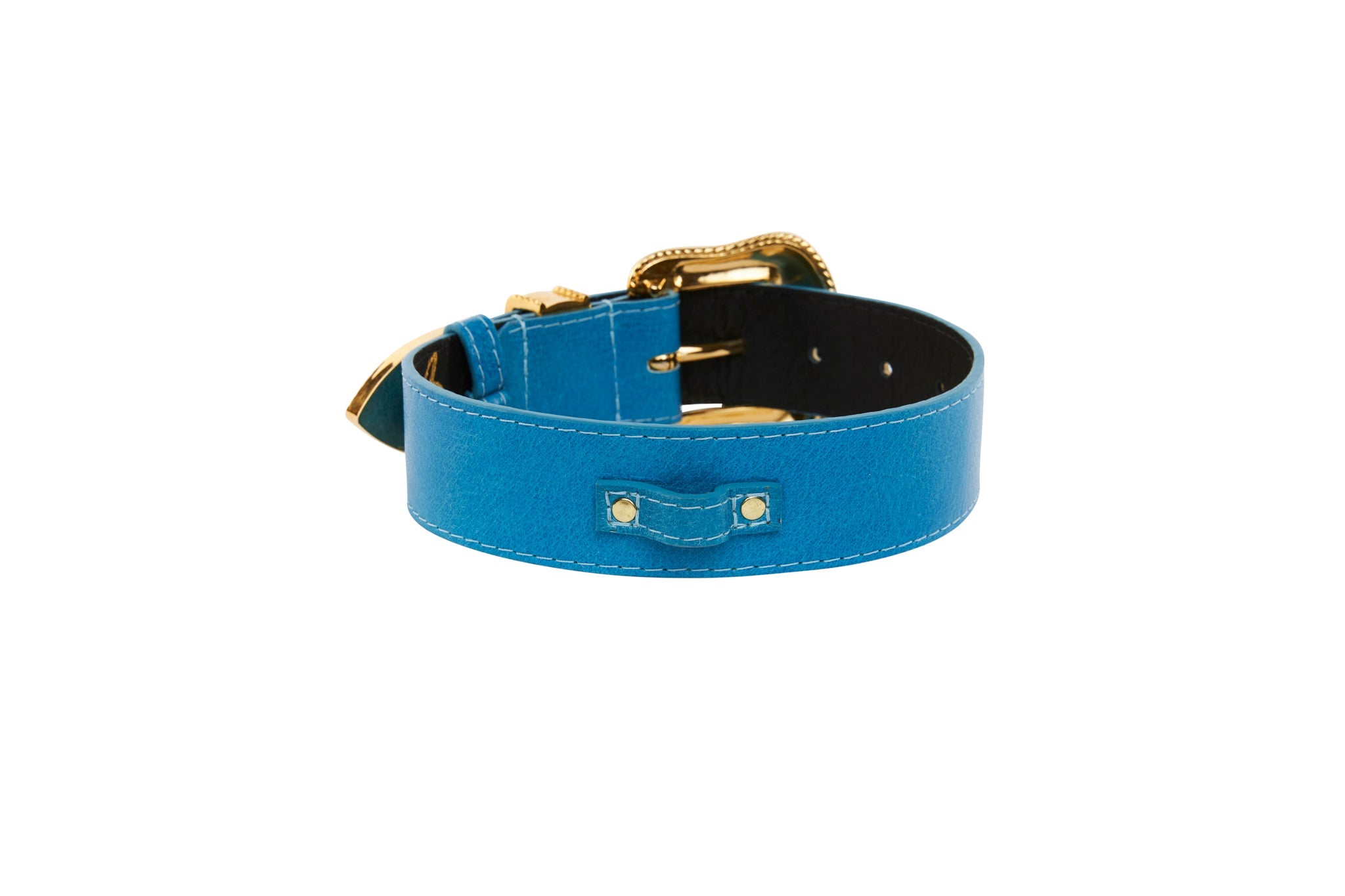 Vegetable Colored Italian Leather Collar With Gold Swarovski Crystal by Allysa Payne Beverly Hills - product image 3 for Resin Society