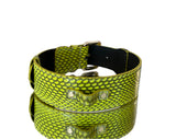Neon green pet collar with a snakeskin pattern and silver classic hardware, shown on a reflective white surface.
