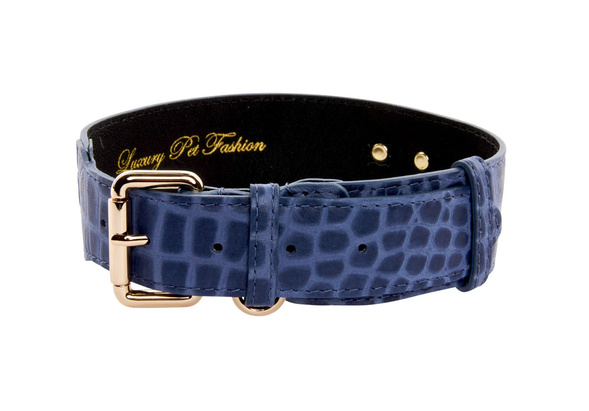 Blue embossed crocodile pattern Italian leather pet collar with gold classic buckle and hardware, shown against a white background.