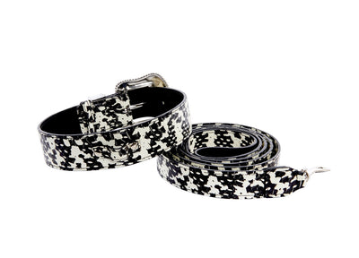 Black & White Snake/Swarovski Crystal Collar & Leash Set by Allysa Payne Beverly Hills - product image 2 for Resin Society