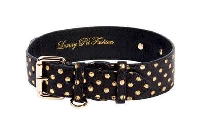 Black and gold embossed polka dot Italian leather classic collar laid flat on a neutral surface