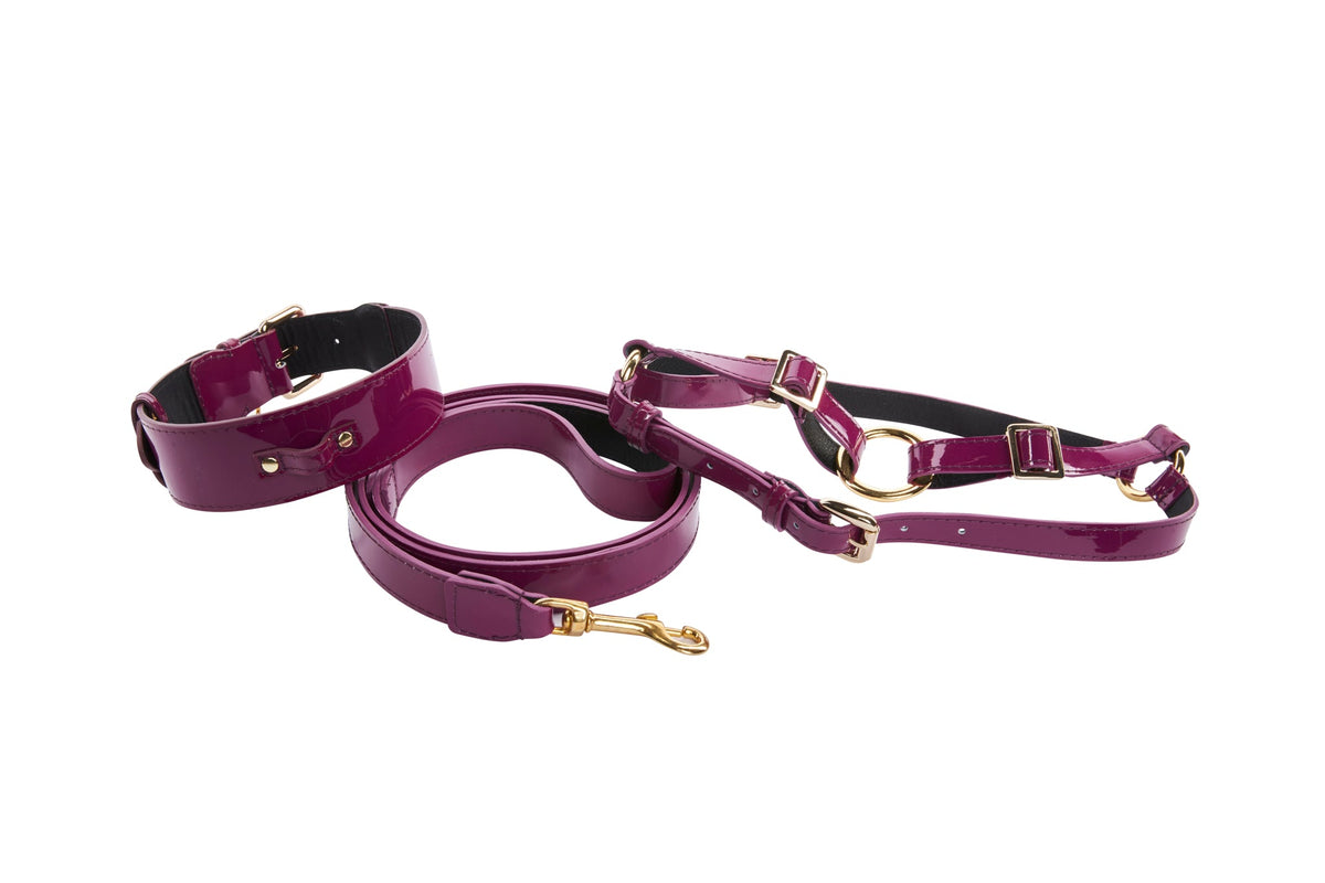 Set of purple patent leather collar, leash, and harness with gold metal hardware, shown on a white background in a loose arrangement.