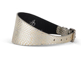 Silver snake-patterned dog collar with a glossy finish, black leather interior, and silver metal buckle, displayed in a curved position on white background.