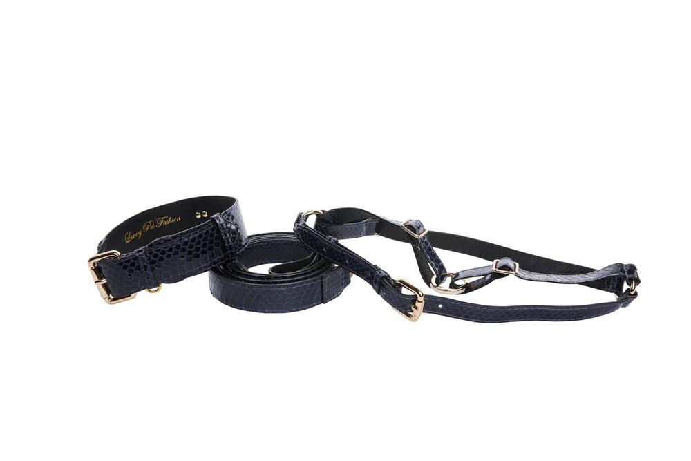 Navy blue dog collar, leash, and harness set featuring a snake skin texture and gold-tone metal hardware, displayed on a white background.